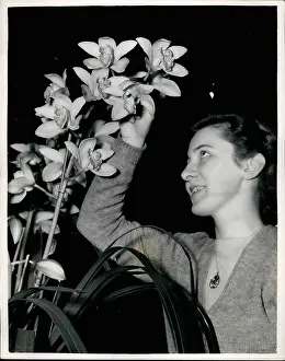 Growers: Flowers - Mountains - Nature - Plants - Trees
