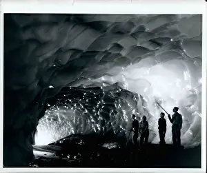 Glaciers: Flowers - Mountains - Nature - Plants - Trees