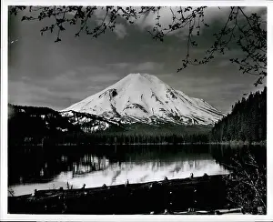 Convenient: Flowers - Mountains - Nature - Plants - Trees