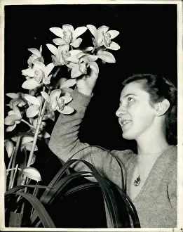Bartlett: Flowers - Mountains - Nature - Plants - Trees