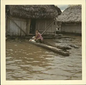 Iquitos: Flowers - Mountains - Nature - Plants - Trees