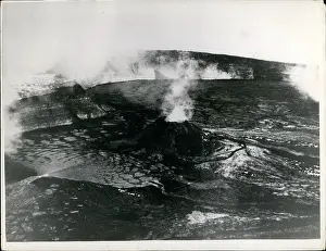 Volcanos: Flowers - Mountains - Nature - Plants - Trees