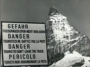 Matterhorn: Flowers - Mountains - Nature - Plants - Trees