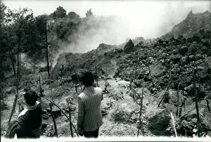 Etna: Flowers - Mountains - Nature - Plants - Trees
