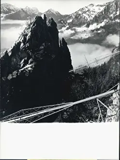 Landslip: Flowers - Mountains - Nature - Plants - Trees