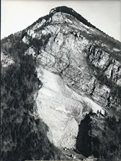 Landslip: Flowers - Mountains - Nature - Plants - Trees