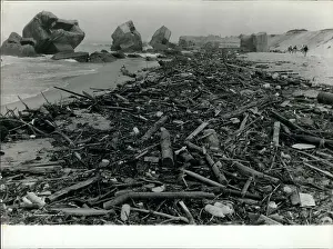 Polluted: Flowers - Mountains - Nature - Plants - Trees