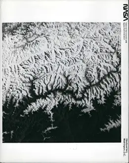 Easily: Flowers - Mountains - Nature - Plants - Trees
