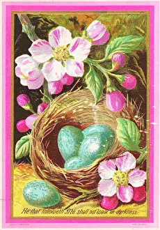 Rebirth: Flowers and a nest of eggs on an Easter card