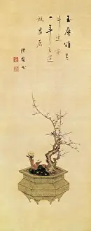 Plum: Flowers and Plants