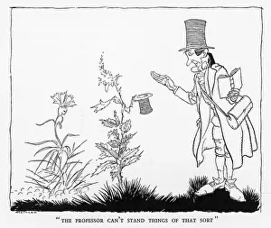 Nettle: FLOWERS TALK BACK