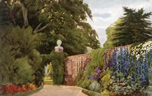 Adorned: Flowers and Trees