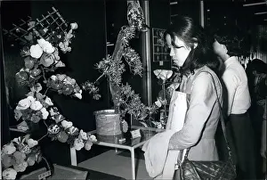Shinjuku: Flowers & Trees Made From Empty Cigarette Packets