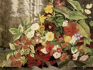 Ledge: Flowers in a Wood