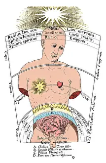 Microcosm: Fludd's De Microcosmo Externo, 1600s