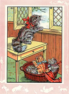 Fluff: Fluff the cat and her three kittens