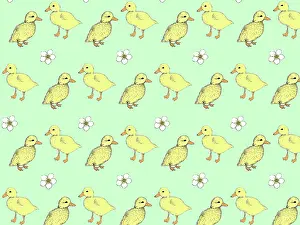 Tess Hines Designs: Fluffy yellow ducklings on a pale green background