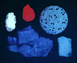 Fluorescing: Fluorescent group