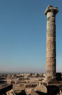 Polias: Fluted column with Ionic capital at the Temple