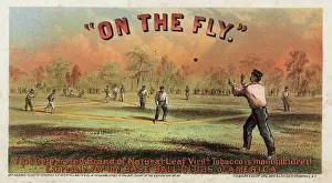 C1867: On the fly