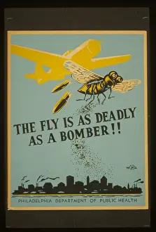 Potential: The fly is as deadly as a bomber!!
