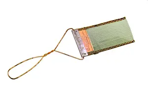 Pests: Fly swatter