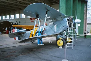 Flycatcher: Flycatcher at Duxford