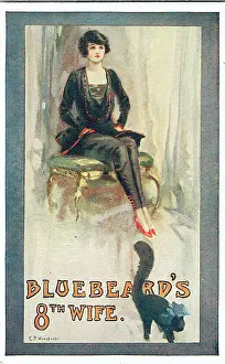 Wistful: Flyer for Bluebeard by Hugh Mytton - Interior