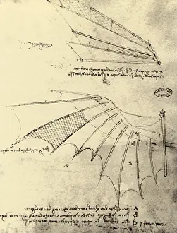 Flying machine drawings, by Leonardo da Vinci