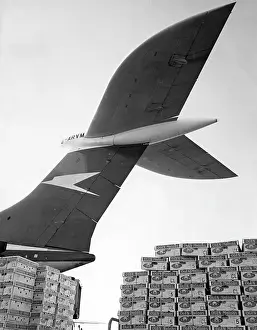 Gurion: FLYING MELONS