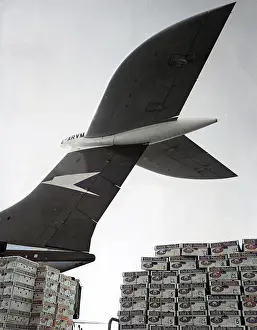Melons: FLYING MELONS