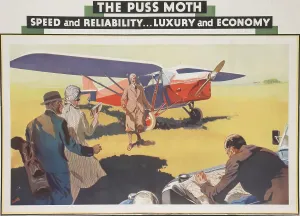 Puss: Flying Poster The Puss Moth
