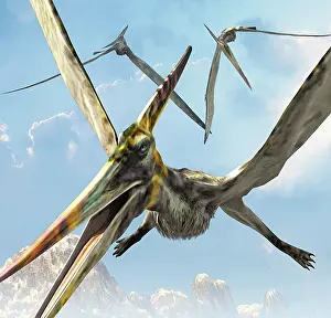 Close Up: Flying pterodactyls searching for food