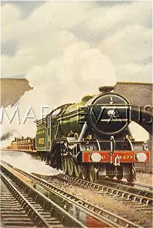 Troughs: FLYING SCOT DRINKING