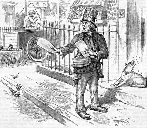 Pedlar: FLYPAPER PEDLAR C19