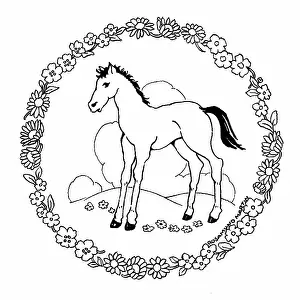 Rosamund: Foal inside a wreath of spring flowers