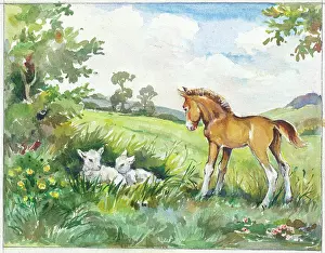 Orton: Foal looking at two lambs