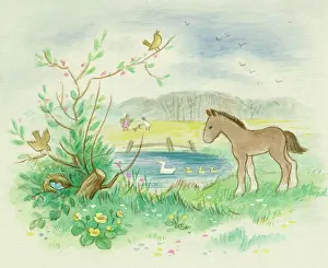 Nests: Foal by a pond