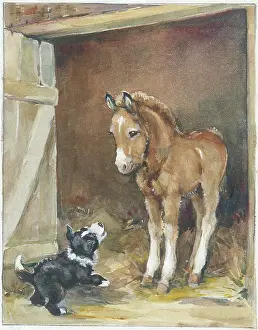 Orton: Foal and puppy