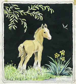 Orton: Foal by a stream, with irises and dragonfly