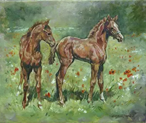 Foals: Two Foals