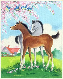 Tits: Two foals under tree with blue tits