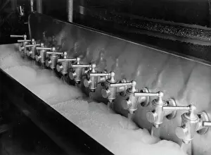 Foamy: Foamy beer in a large Munich brewery