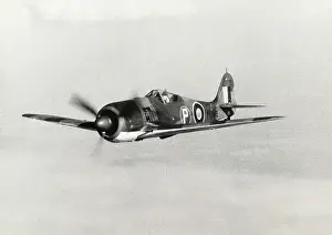 Non Standard: Focke Wulf FW-190