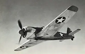 Non Standard: Focke Wulf FW-190