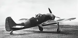 Focke Wolf: Focke Wulf FW-190