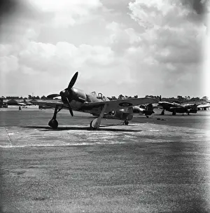 Focke Wolf: Focke Wulf FW-190