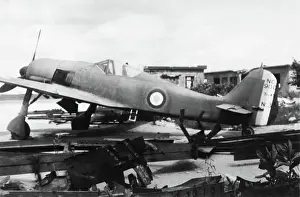 Low Wing: Focke Wulf FW-190