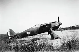 Low Wing: Focke Wulf FW-190