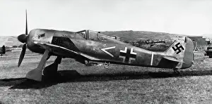 Low Wing: Focke Wulf FW-190